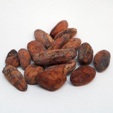 Cacao Deshidratado Orgánico 1 Kg.