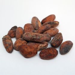 Cacao Deshidratado Orgánico 1 Kg.
