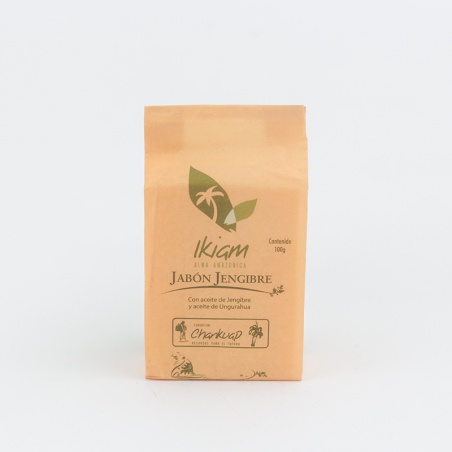 Jabón Sólido Ikiam Jengibre 100gr.