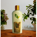 Shampoo Ungurahua y Romero 250ml