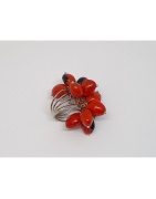 Anillos de Semillas
