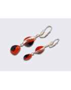 Aretes de Semillas